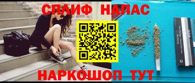 сатива Можга