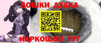 сатива Можга