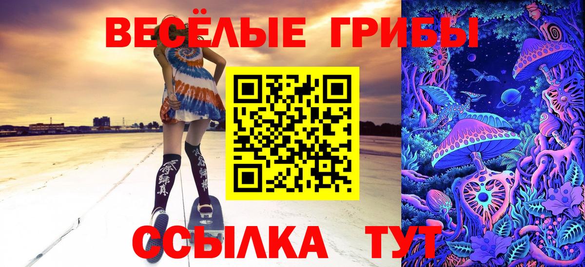 Псилоцибиновые грибы Cubensis Якутск